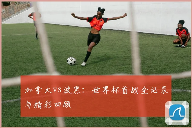 加拿大vs波黑:世界杯首战全记录与精彩回顾
